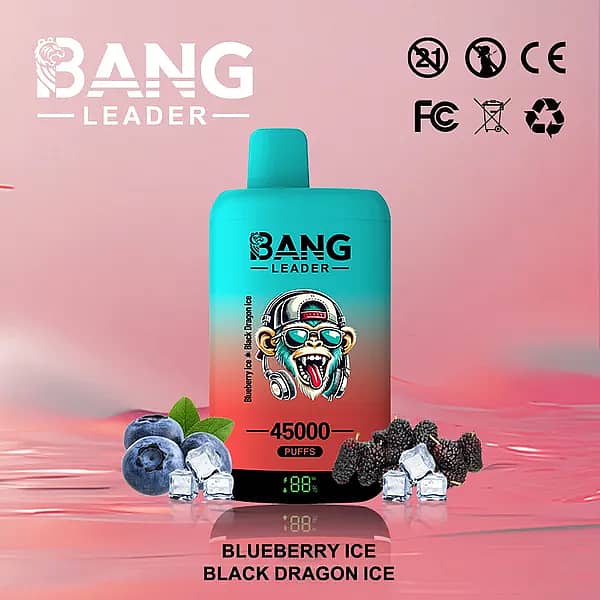 W=600,H=600,Fit=Scale Down,Gravity=Auto,Sharpen=1,Metadata=None,Format=Auto,Quality=70 Bang Leader 45 000 bouffées – Vape jetable Blueberry Ice Black Dragon Ice avec écran numérique
