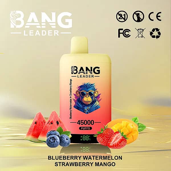 W=600,H=600,Fit=Scale Down,Gravity=Auto,Sharpen=1,Metadata=None,Format=Auto,Quality=70 Bang Leader : vapoteuse jetable 45 000 bouffées aux deux saveurs (myrtille, pastèque, fraise et mangue) avec écran numérique
