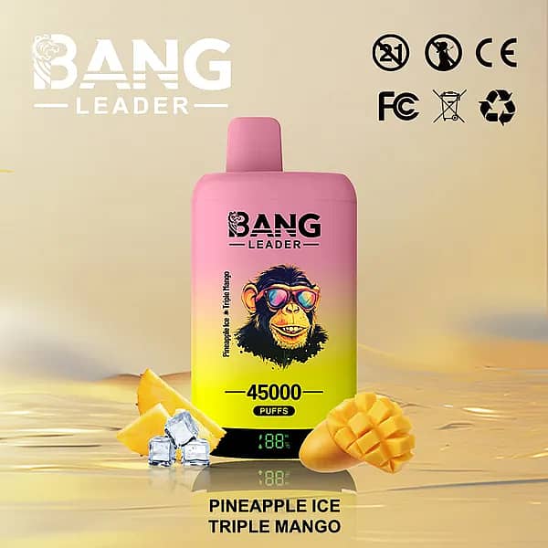 W=600,H=600,Fit=Scale Down,Gravity=Auto,Sharpen=1,Metadata=None,Format=Auto,Quality=70 Bang Leader : vapoteuse jetable 45 000 bouffées aux saveurs Ananas glacé et Triple mangue, avec écran numérique