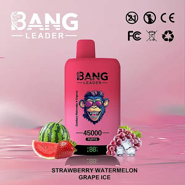W=600,H=600,Fit=Scale Down,Gravity=Auto,Sharpen=1,Metadata=None,Format=Auto,Quality=70 Bang Leader : vapoteuse jetable 45 000 bouffées aux saveurs fraise, pastèque, raisin et glace, avec écran numérique