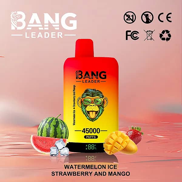 W=600,H=600,Fit=Scale Down,Gravity=Auto,Sharpen=1,Metadata=None,Format=Auto,Quality=70 Bang Leader : vapoteuse jetable 45 000 bouffées aux saveurs pastèque glacée, fraise et mangue, avec écran numérique