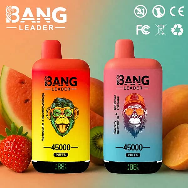 Gamme de cigarettes électroniques jetables « Bang Leader » 45 000 bouffées, disponibles en plusieurs saveurs