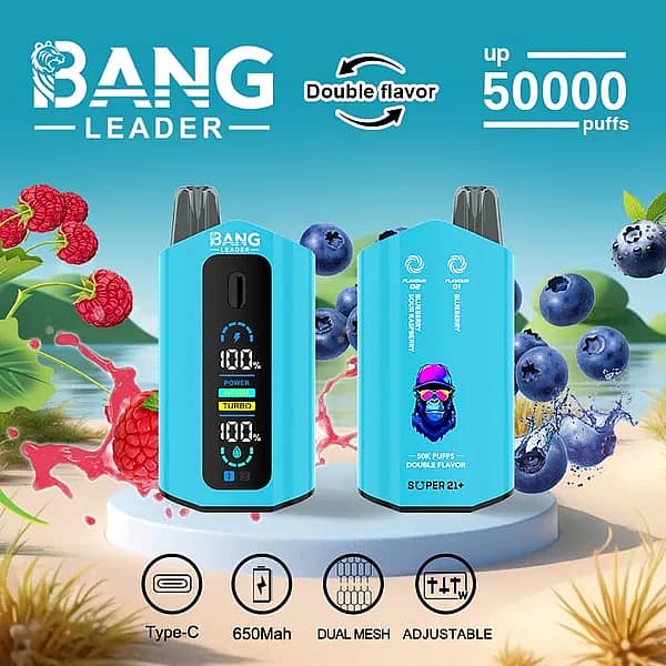 Bang Leader 50 000 bouffées : vapoteuse jetable double saveur myrtille-framboise acidulée et myrtille, avec écran numérique