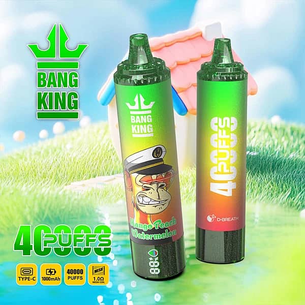 Bang King : vapoteuse jetable 40 000 bouffées aux saveurs mangue, pêche et pastèque, avec écran numérique