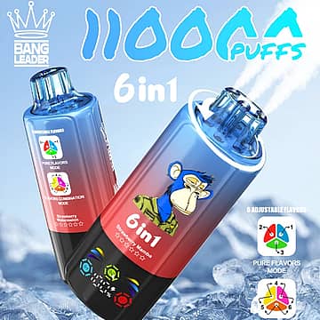 Bang Leader 110k Puffs 6 in 1 adjustable flavors disposable vape with rotating mouthpiece
