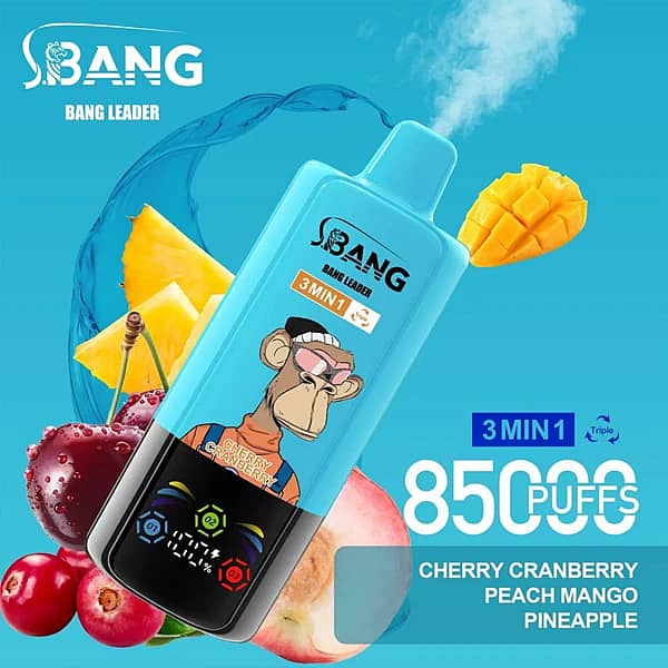 Bang Leader – jednorazowy vape 3 w 1 o smaku wiśniowo-żurawinowo-brzoskwiniowo-mango-ananasowym, 85 000 zaciągnięć