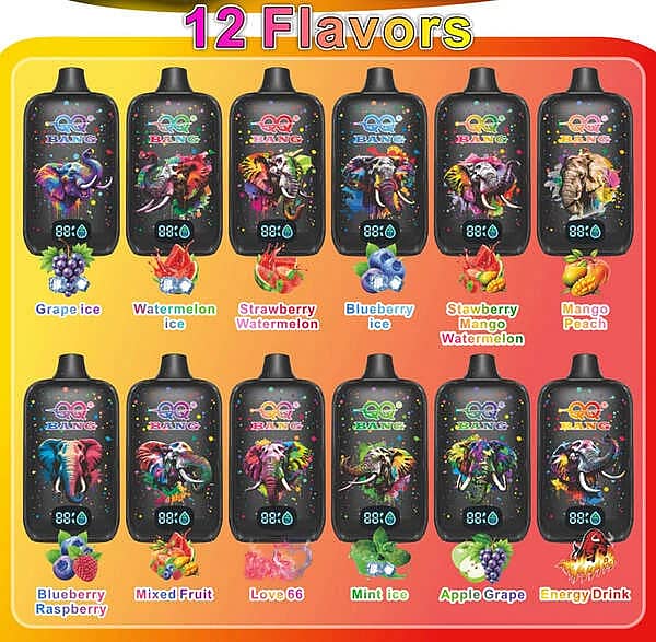 W=600,H=600,Fit=Scale Down,Gravity=Auto,Sharpen=1,Metadata=None,Format=Auto,Quality=70 Qq Bang Disposable Vape, 12 Flavor Variants, With Colorful Elephant Graphics