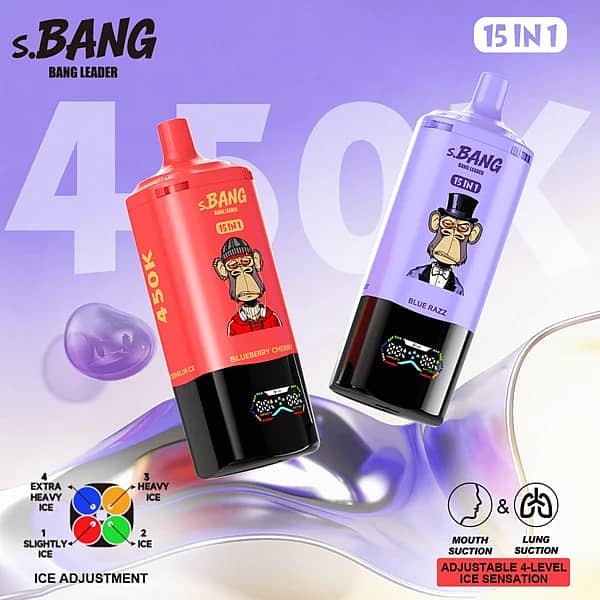 Bang Leader 450K Puffs 15 In 1 Multi-Flavor Disposable Vape With Digital Display