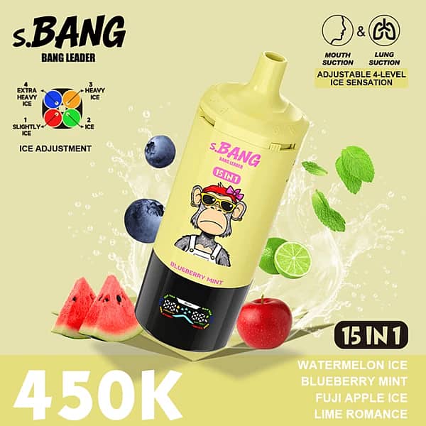 Bang Leader 450K Puffs Blueberry Mint 15-In-1 Flavor Disposable Vape With Adjustable 4-Level Ice Sensation