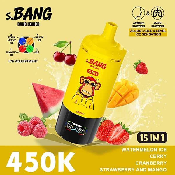 Bang Leader 450K Puffs 15-In-1 Watermelon Ice Cherry Cranberry Strawberry Mango Disposable Vape With Adjustable 4-Level Ice Sensation
