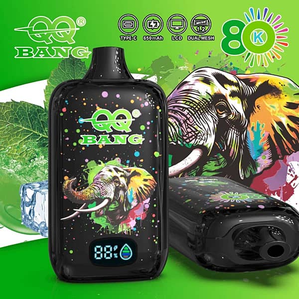 W=600,H=600,Fit=Scale Down,Gravity=Auto,Sharpen=1,Metadata=None,Format=Auto,Quality=70 Qq Bang 80K Puffs Mint Ice Disposable Vape With A Digital Display